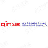 Qinhuangdao Qinyi Casting Co., Ltd. Logo